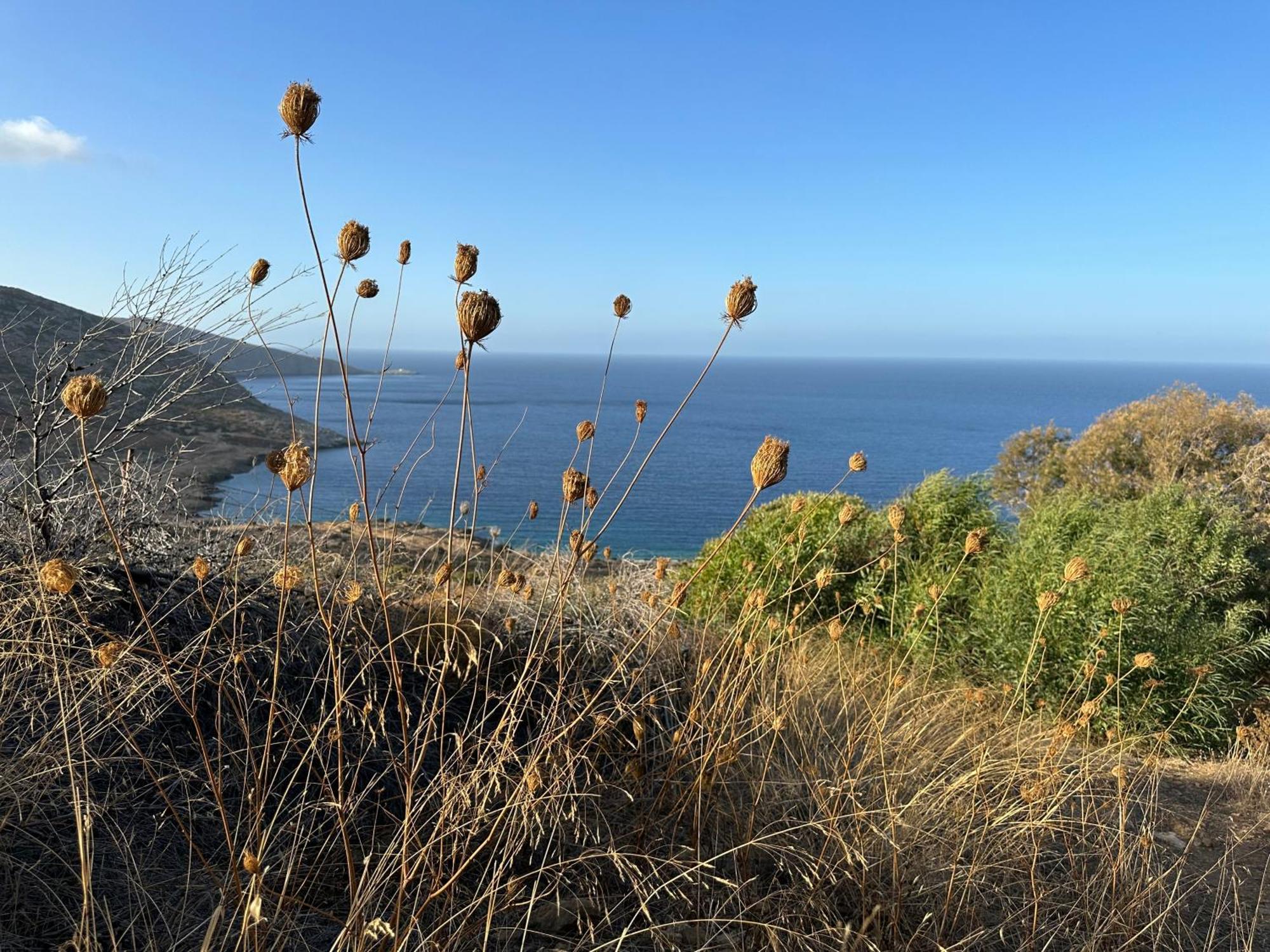 Maison Meltem Agia Pelagia Exteriér fotografie