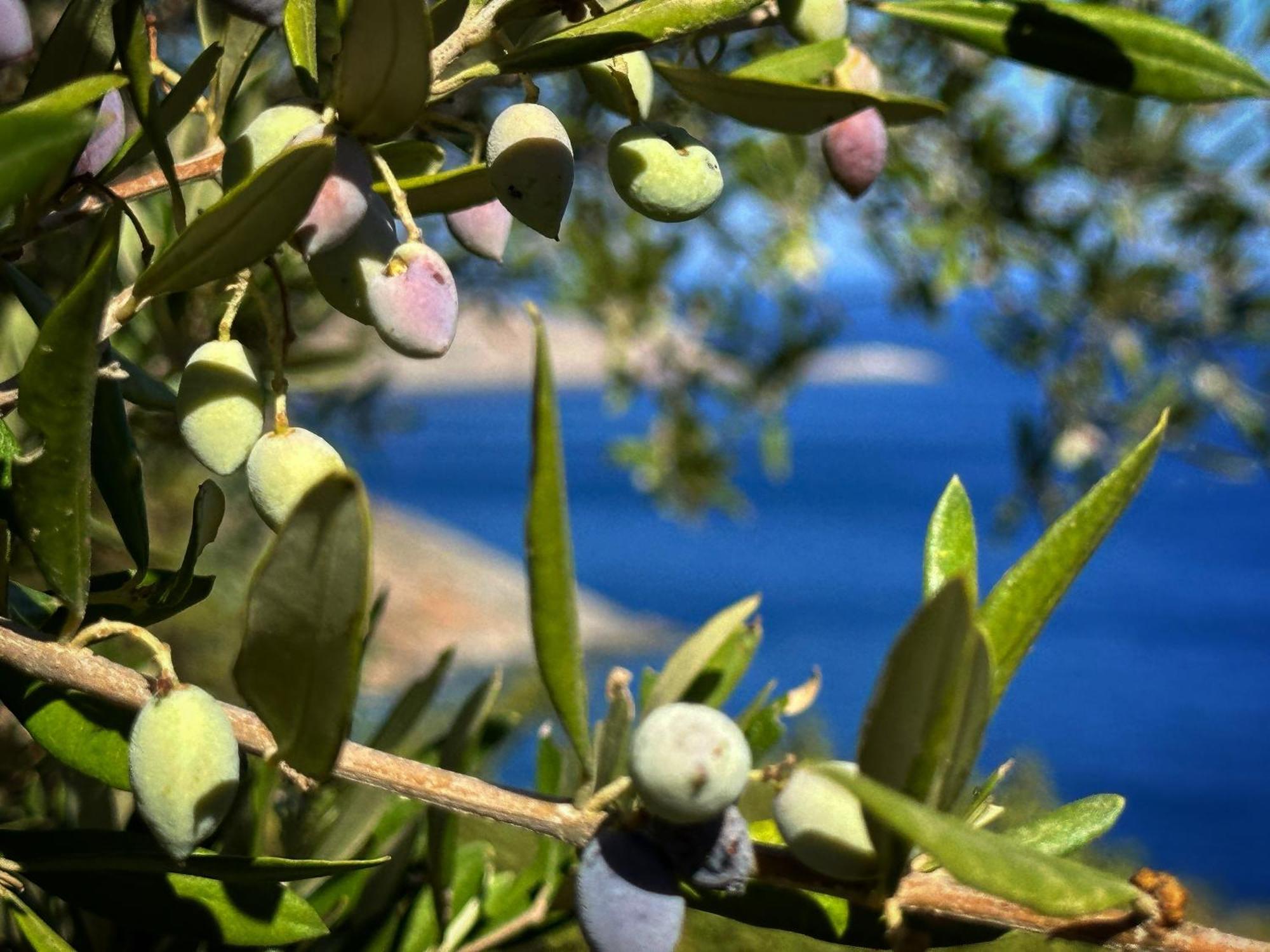 Maison Meltem Agia Pelagia Exteriér fotografie